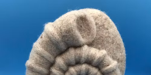 \u00a320 Needlefelt an Ammonite 