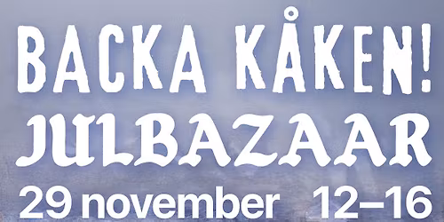 Backa K\u00e5kens julbazaar i Direkt\u00f6rsvillan!