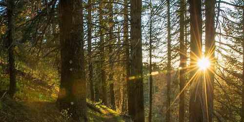 Forest Therapy in the Cascade-Siskiyou National Monument