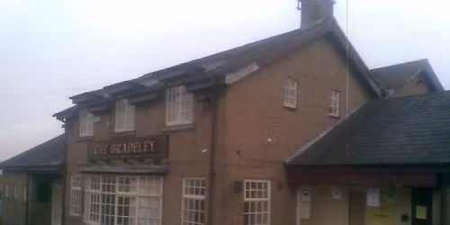 The Bradeley - Psychic Show