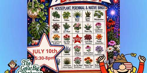 Star Spangled BINGO