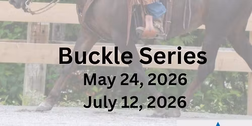 Ranch riding buckle series 