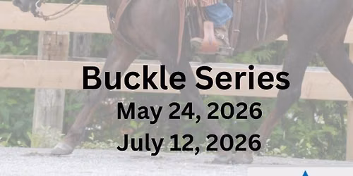 Ranch riding buckle series 