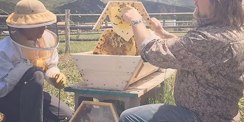 Natural Beekeeping Workshop
