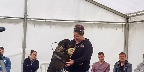 Trainer Collaboration Nights 