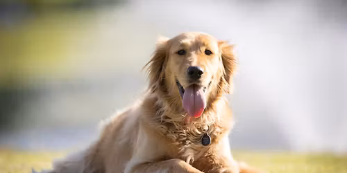 Heartland Putts for Paws II