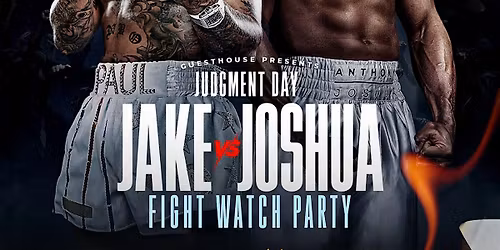 Paul vs Joshua VIP Fight Night Experience