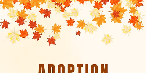 Adoption Event @ Dead on Arms