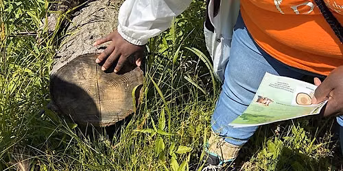 Trailblazer Walk