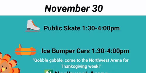 Thanksgiving Holiday Ice Bumper Cars and Public Skate-Sunday