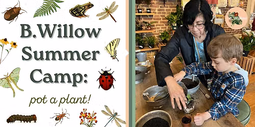 B.Willow Summer Camp: Pot a Plant!