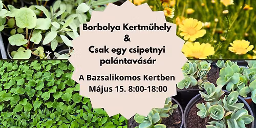Borbolya Kertm\u0171hely \u00e9s Csak egy csipetnyi k\u00f6z\u00f6s pal\u00e1nta v\u00e1s\u00e1ra a Bazsalikomos Kertben 
