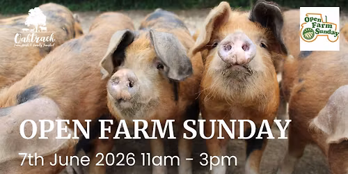 Open Farm Sunday
