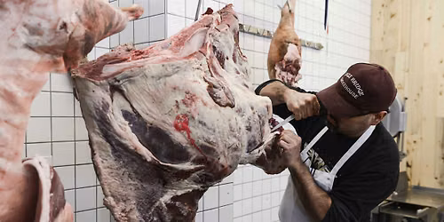 Beef Hindquarter Butchery in Williamsburg
