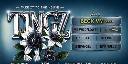 TINGZ : Take It To The House