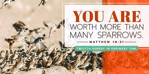 Vigil Mass for the 12th Sunday in Ordinary Time