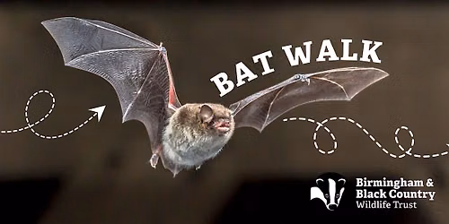 Bat Walk at Centre of the Earth
