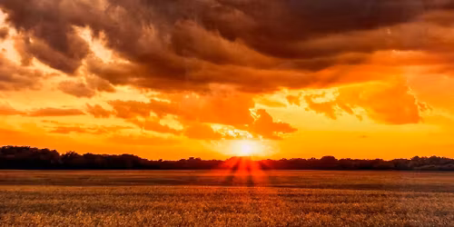 "Kansas and Beyond" Photos printed on metal by Danton McDiffett