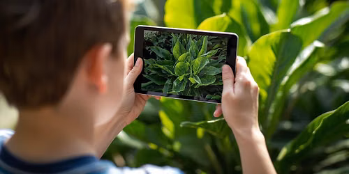 Lights, Camera, Action! Summer Art Camp: Ages 10 to 14