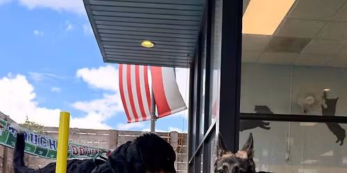 FREE Puppy Play Group