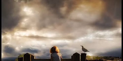 Conversations in The Field