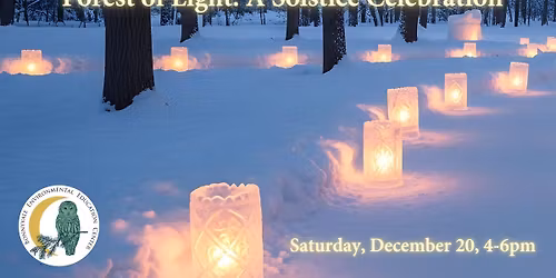Forest of Light: A Solstice Celebration
