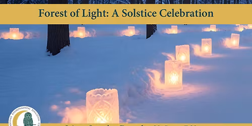 Forest of Light: A Solstice Celebration