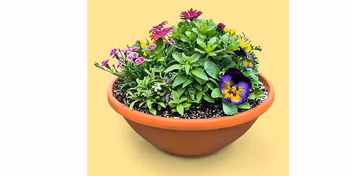 Workshop: Frost-Free Plants in a Spring Garden Bowl