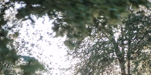 Historische Festtage 2026