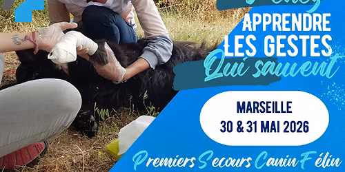 Formation aux Premiers Secours pour Chien et Chat \u00e0 MARSEILLE