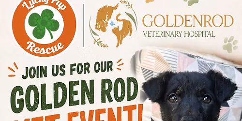 Golden Rod Vet Barking Lot Party!