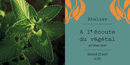 Atelier - A l'\u00e9coute du v\u00e9g\u00e9tal : observer, questionner, comprendre