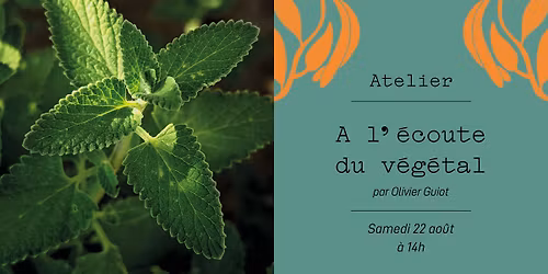 Atelier - A l'\u00e9coute du v\u00e9g\u00e9tal : observer, questionner, comprendre