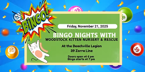 BINGO Night - Nov 21