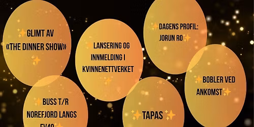 Kvinnekraft - Lansering av nettverket!