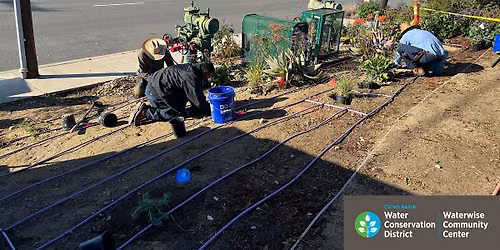 Efficient Irrigation Systems for Any Home Landscape: Drip & Sprinklers