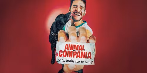 Animal de Compa\u00f1\u00eda en Girona