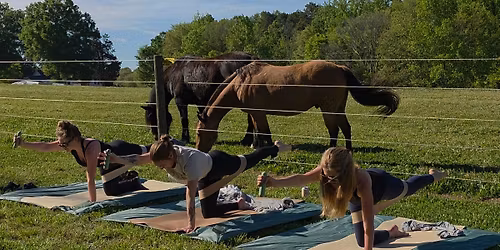 Pilates in the Pasture with Kelee