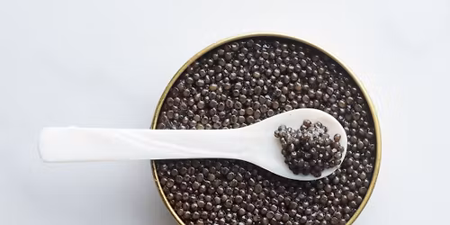 D\u00eener Caviar & Champagne au Art*