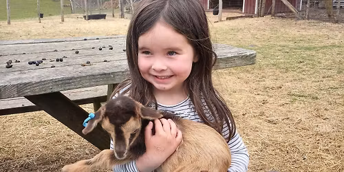 Baby Animals - Meet our newest residents! \ud83d\udc25