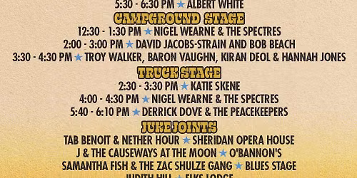 2026 Telluride Blues and Brews Festival - 3 Day Pass at Telluride Town Park