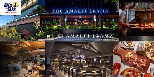 Biz To Biz Networking at The Amalfi Llama