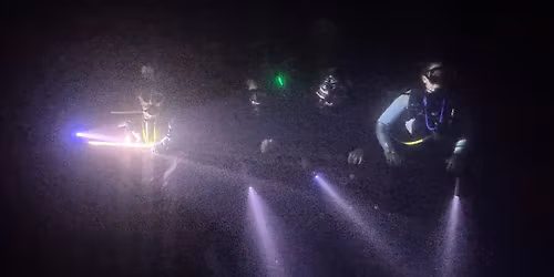 Night Dive Party