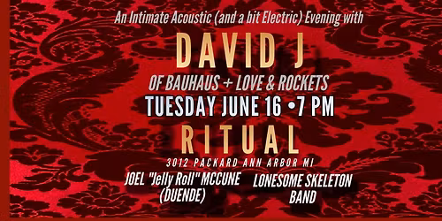 An Intimate Evening with David J.