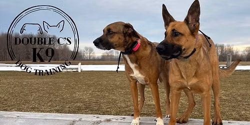 Park Rotation Group Class - Haselton Park - Leash Walking