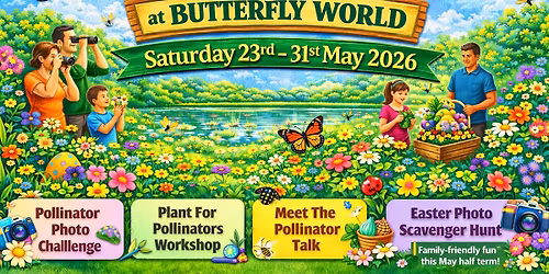 May Half Term at Butterfly World