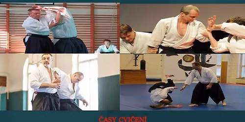 V\u00fdro\u010dn\u00ed semin\u00e1\u0159 30.let Aikido Koloseum \u0160ternberk 