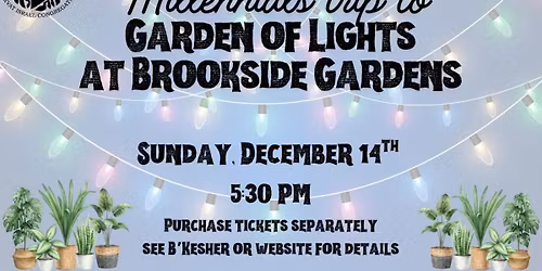 Millennials Trip to Brookside Garden of Lights