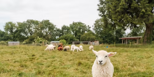 Vallis Farm Youth Group 12-14 - Mondays