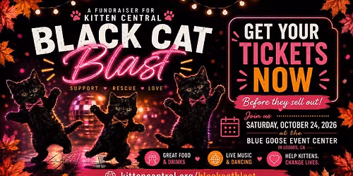 Black Cat Blast 2026: A Labor of Love